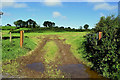 Wet entrance to field, Lisnahanna