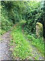 Overgrown track to Wood Farm