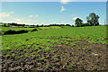 A muddy field. Lisnahanna