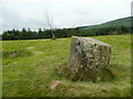 NZ5203 : The Hall Cliff Boundary Stone, Lord Stones Country Park by Humphrey Bolton