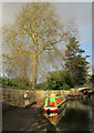 ST7565 : Kennet and Avon Canal in Sydney Gardens by Derek Harper
