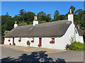 Thatched cottage in Glamis