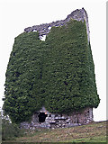 R8289 : Castles of Munster: Annagh, Tipperary (1) by Garry Dickinson