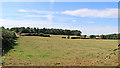 Pasture south-west of Stourbridge