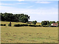 Pasture and woodland near Stourbridge