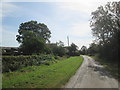 Stockbridge  Lane  toward  Eastfield  Farm