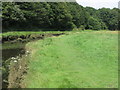 Footpath, Holywell Dene