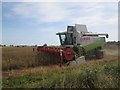 TA0551 : Oil  Seed  Rape  being  harvested  on  Cranswick  Common by Martin Dawes