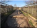 Forest Road footbridge