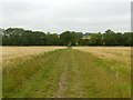 Bridleway to Southwell