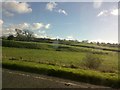 Field of sheep by the River Derwent