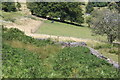 Footpath down from Lasgarn Lane