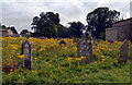 SE0989 : Holy Trinity Churchyard, Wensley by habiloid
