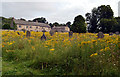 Holy Trinity Churchyard, Wensley