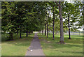 Footpath by roundabout, Catterick Garrison