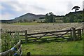 A field near Towerburn