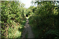 Path off Hanson Hill