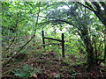 Llwybr uwchben Ty Canol / Path above Ty Canol