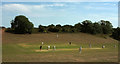 SX9365 : Cricket match on Walls Hill by Derek Harper