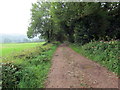 Cyn reilffordd yng Ngelli Aur / Former railway at Gelli Aur