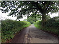 Heol ger Brynhafod Fawr / Road near Brynhafod Fawr