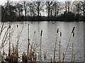 Poynton Lake