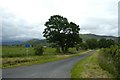 Gated road to Mosedale