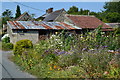 Roadside flowers and rusty roofs, Swallowcliffe