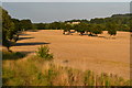 Field beside railway near Savage Bridge