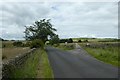 Road and footpath