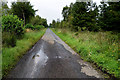 H3466 : Wet patch along Straduff Road by Kenneth  Allen