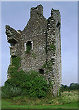 V8591 : Castles of Munster: Castle Core, Kerry (3) by Garry Dickinson