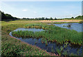 Old workings near Galston