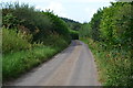 Lane north of Pythouse Plantation