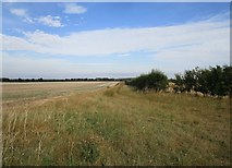 TF0163 : Farm track along the edge of a stubble field, Nocton Heath by Jonathan Thacker