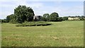 View across a harvested meadow towards the Maghera Round Tower