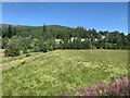 Approaching Kingussie