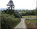 Descending towards the A50 at Drumee