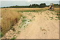 Field near Forches Cross