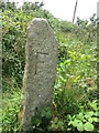 Old Boundary Marker