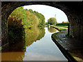 Canal north of Marsh Lane Bridge near Nantwich