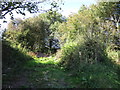 Field entrance near Tre-llwyfan