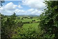 View from the top road