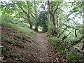 SJ0970 : Hillside path by Eirian Evans