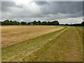 Flood defence embankment at Fiskerton