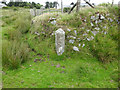 Plymouth Water Works Boundary Stone