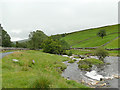 SD8979 : The Wharfe at Deepdale, looking downstream by Stephen Craven
