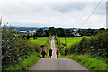 Three walkers and a dog, Ballycairn