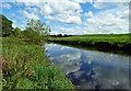 The River Irvine near Greenwood Bridge