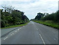 Coole Lane at Crisham Avenue